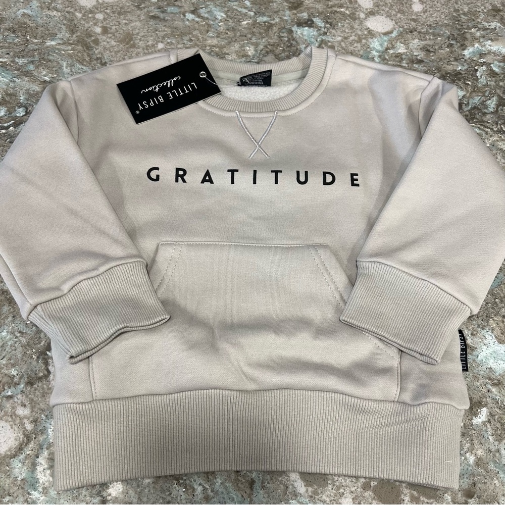 Little Bipsy Gratitude Pullover Sweater 2T-3T